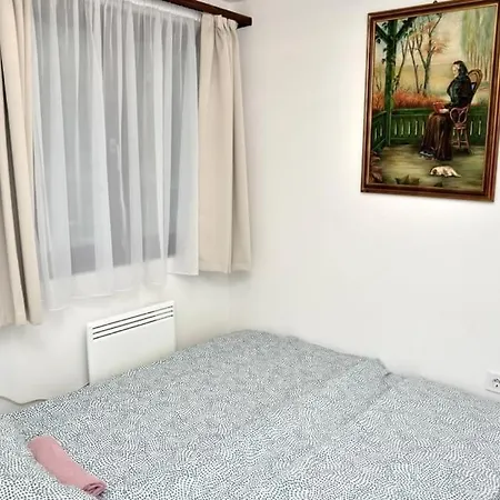 Apartament Irma- Forras Vendeghazak *